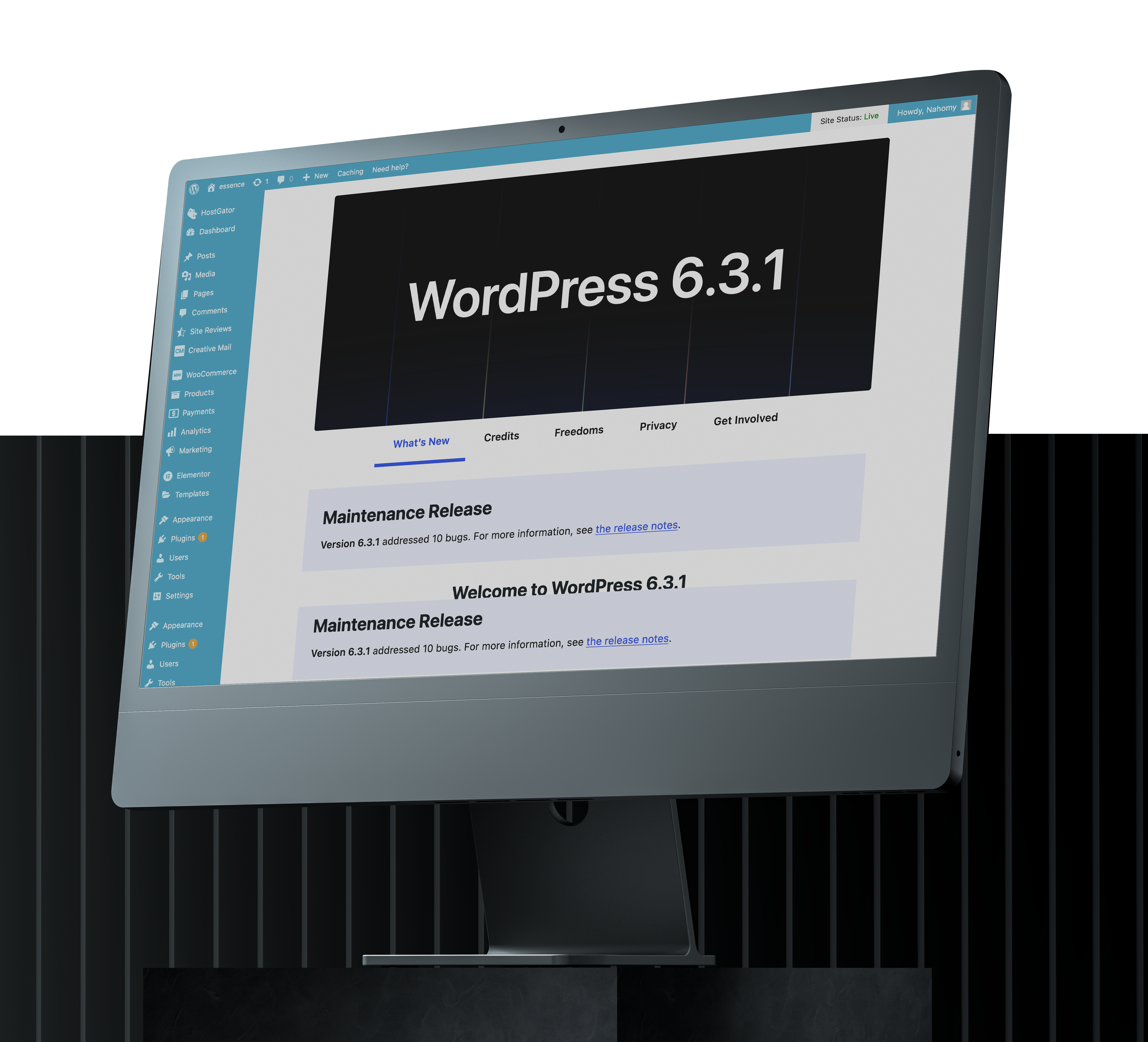 wordpress
